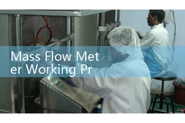 Mass Flow Meter Working Principle: Comparing Coreolis and Thermal Physics